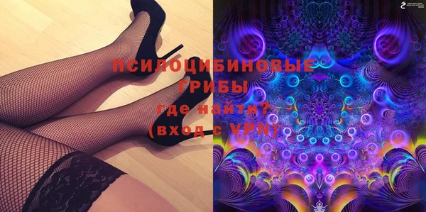 прущие грибы Алексеевка