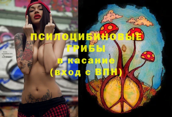 тгк Алексин