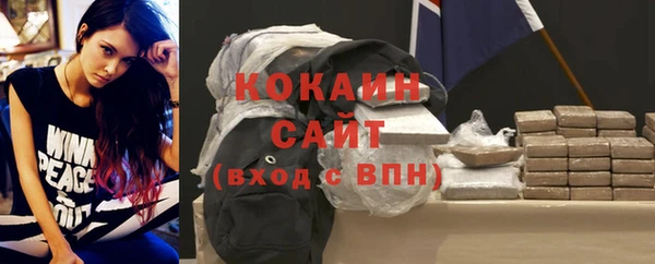 тгк Алексин