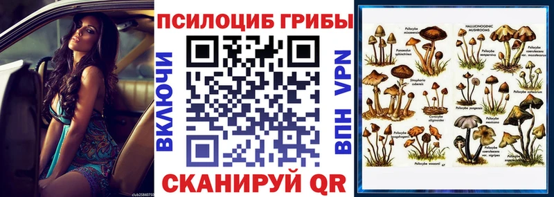 Псилоцибиновые грибы Psilocybine cubensis как найти наркотики Дмитриев