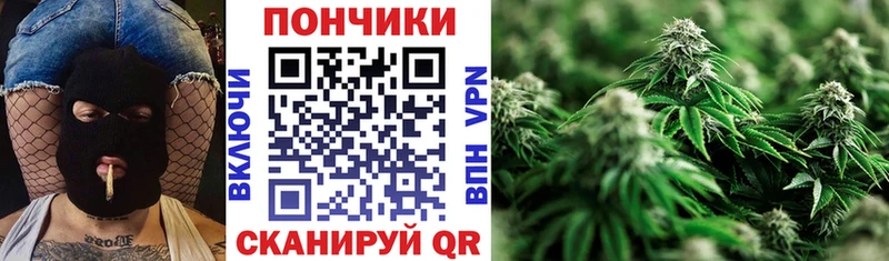 Бошки марихуана гибрид  Дмитриев 
